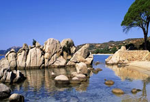 开云体育登录-折戟沉沙：北欧雄狮告别欧洲杯预选赛四强的悲怆启示录