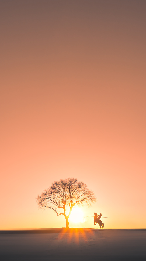 开云APP-一剑封喉！硬骨头公牛啃下太阳，小贾伦化身关键先生破茧成蝶