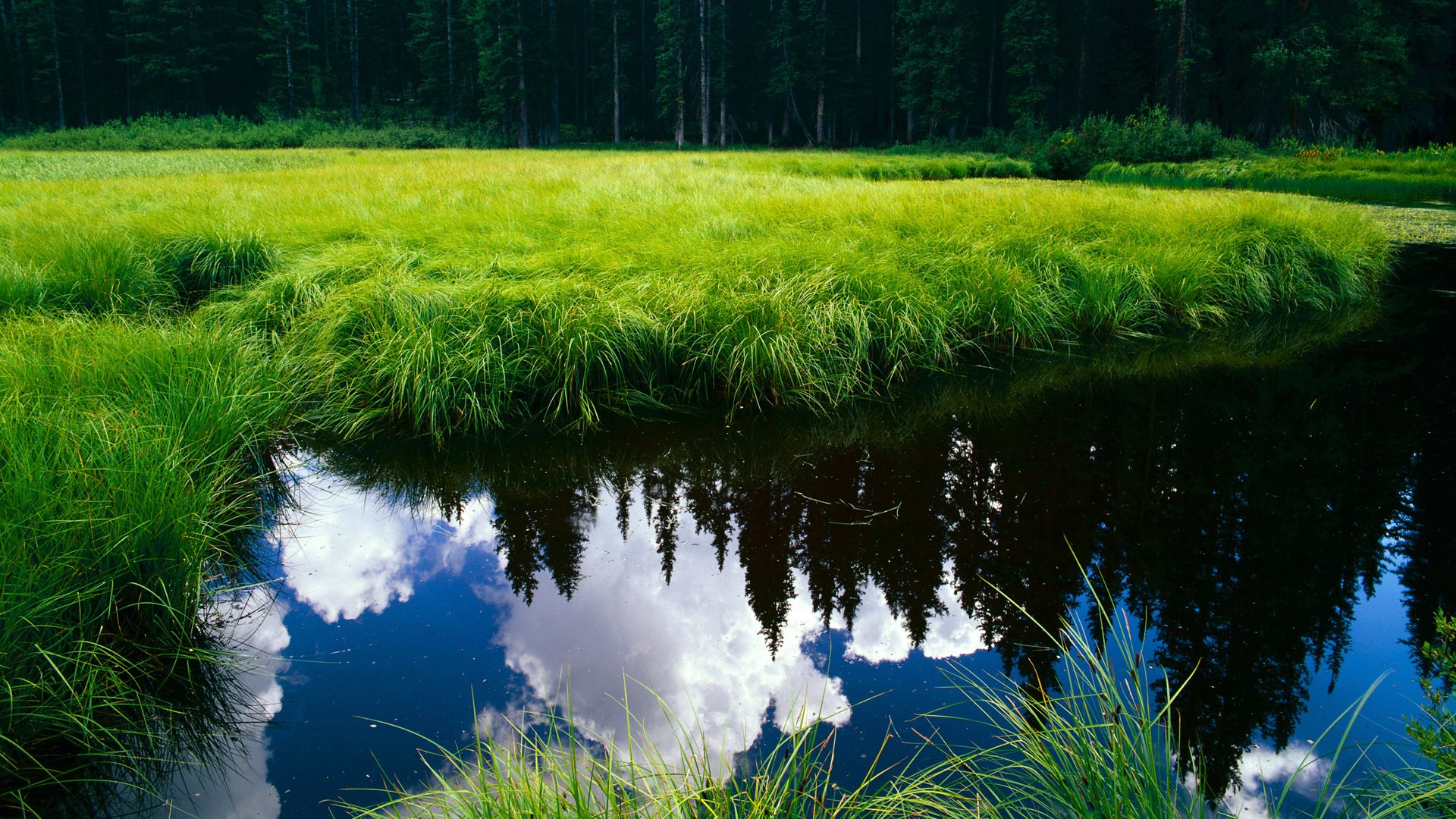 开云体育官方网站-爵士vs热火，利拉德的节奏统治