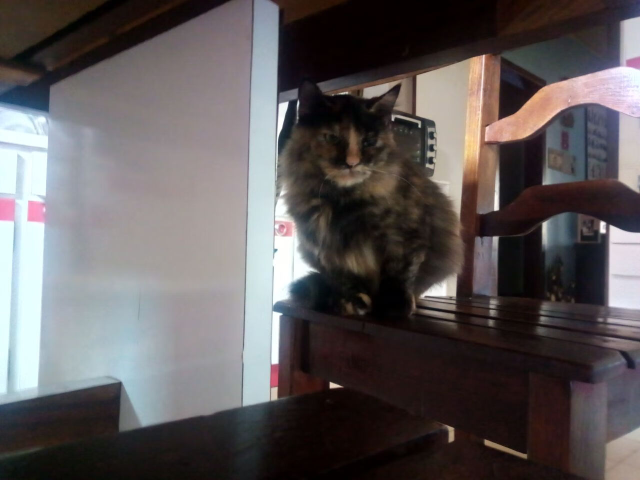 底特律奇迹VS凤凰城领袖,当草根逆袭撞上巨星证道