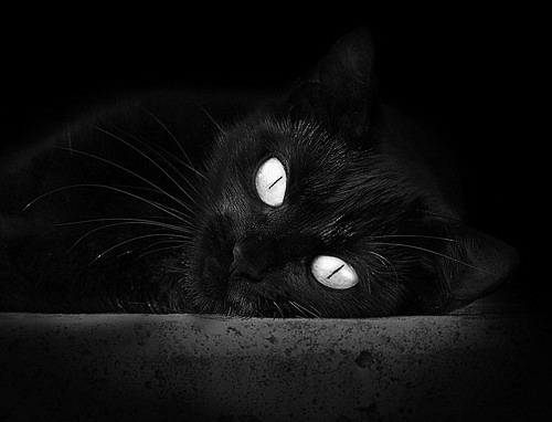 开云体育-个人独奏与团队交响，英格拉姆的节奏魔法如何被独行侠的钢铁洪流破解？