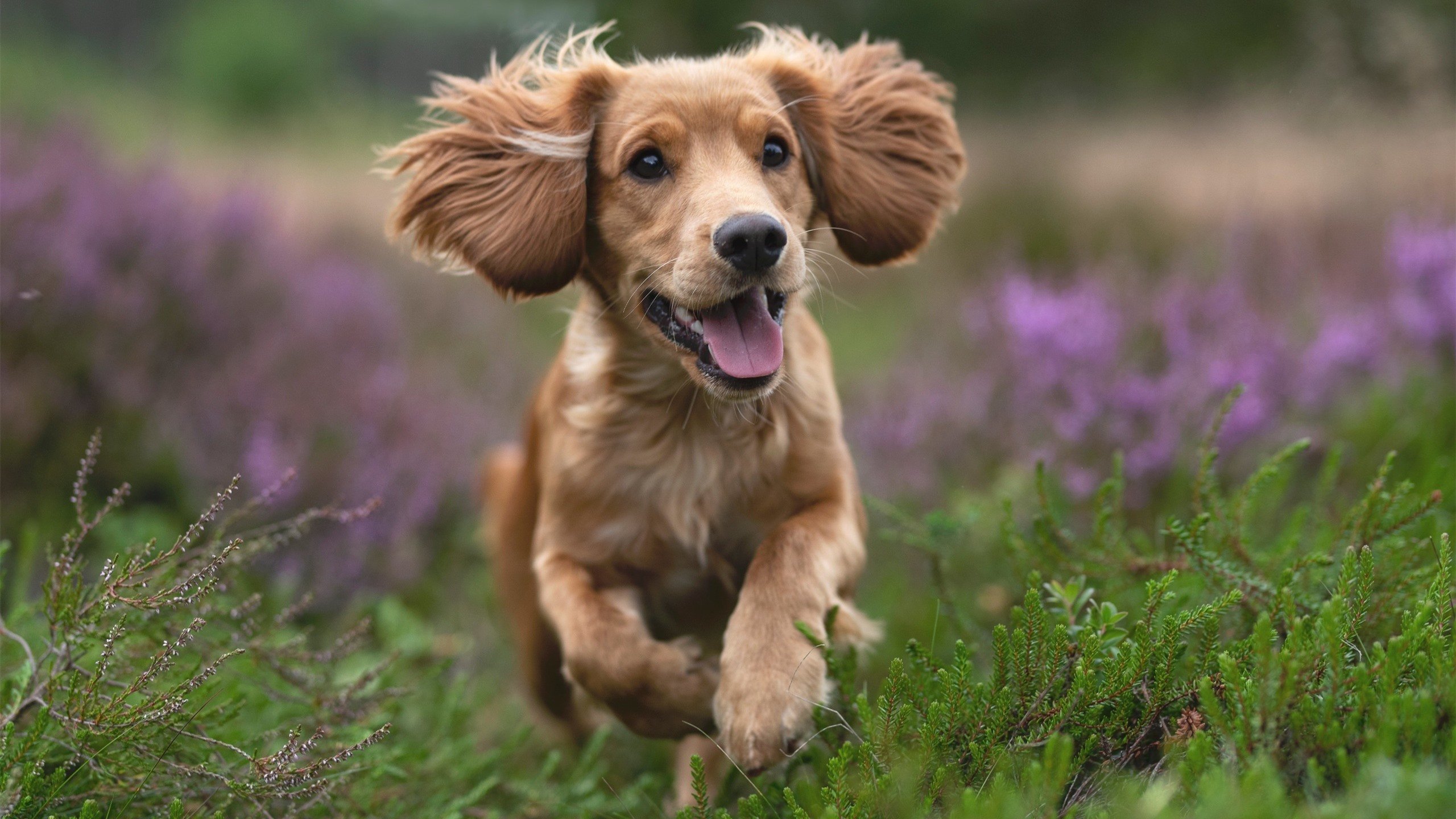 乌拉圭全面压制中国,凯恩成为关键先生,足球场上的统治与转折