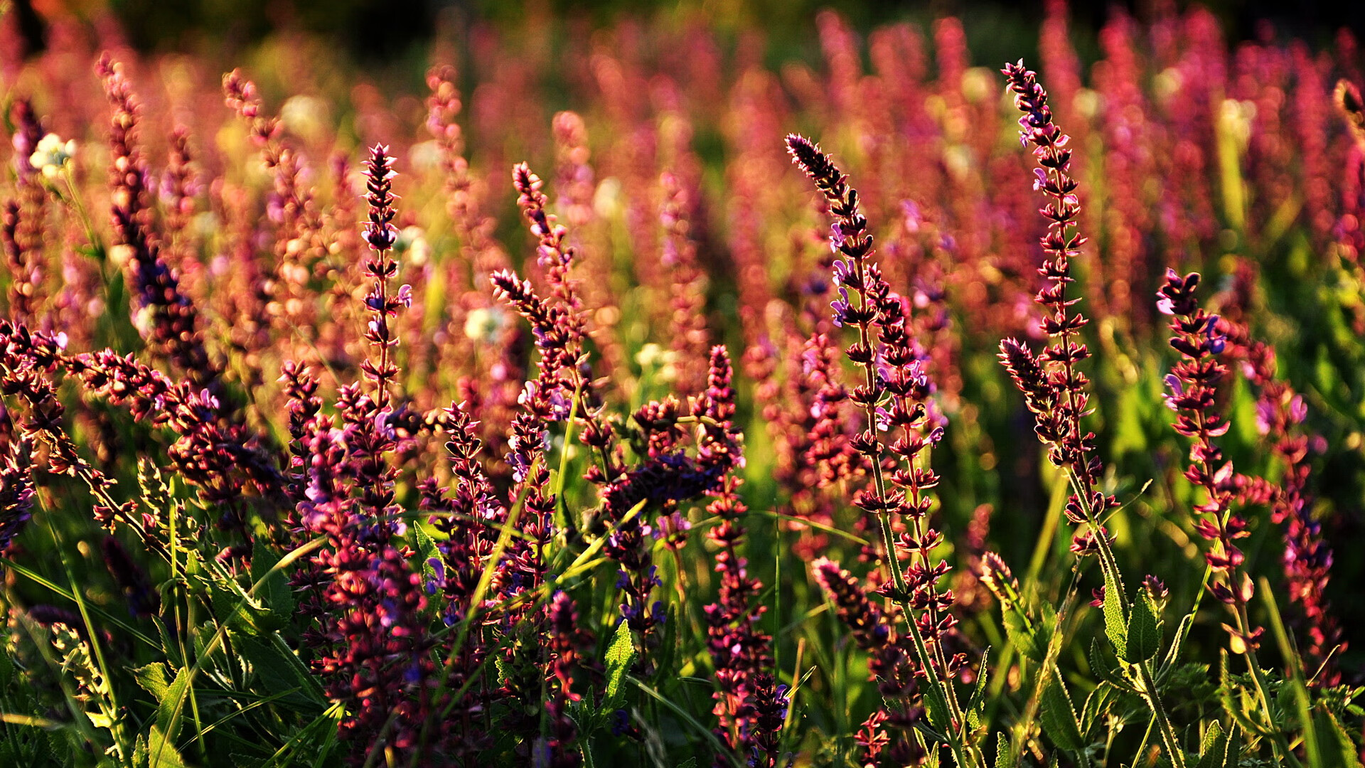 开云APP-委内瑞拉对阵瑞士的战术博弈，格纳布里数据全面爆炸的现代足球启示