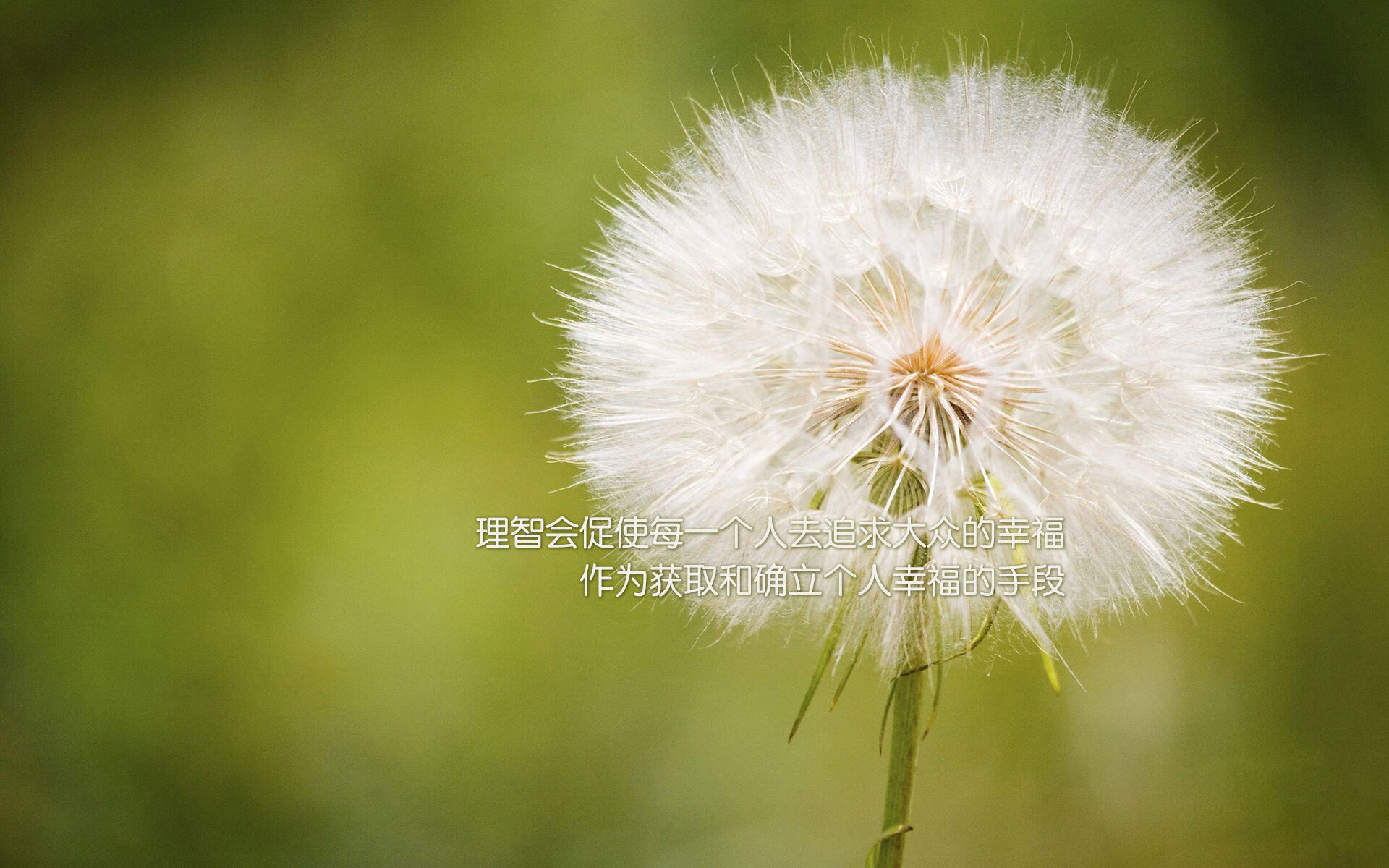 开云体育APP下载-东契奇评分拉满之夜！热火击败深圳队展露争冠雄心