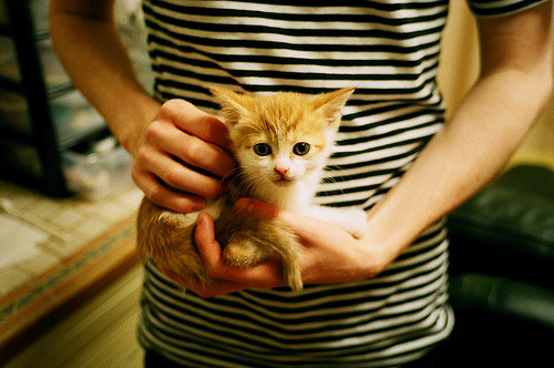 跨界风暴,巴黎血拼AC米兰,加克波F1争冠接管赛道