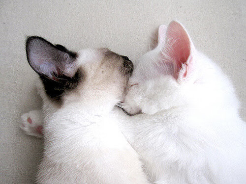 阿坎吉的蓝图,在世界杯决赛场上,他用防守建造了哥伦比亚的新首都