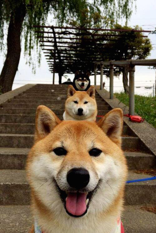 防线崩解之夜，当哥斯达黎加遇上爱尔兰，京多安如何以思维击穿钢铁