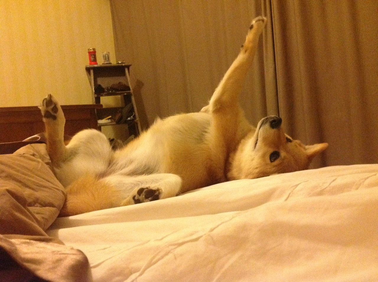 开云体育登录-迟暮英雄的闪电战，京多安一传一射引领荷兰速胜德国